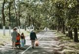 Фото Тимура Бойкова/Вологда-Поиск