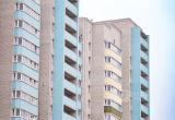 Фото Тимура Бойкова/Вологда-Поиск
