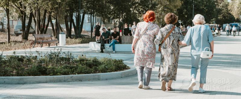 Вологда-поиск