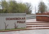 Фото Тимура Бойкова/Вологда-Поиск