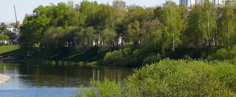 vologda-poisk.ru Тимур Бойков/