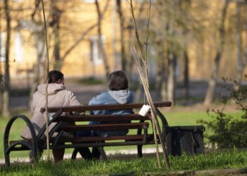 Укус клеща: что делать и как защититься? Укус клеща: что делать и как защититься?