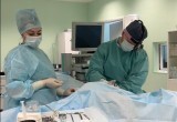 Красивая грудь без имплантов: реальность ближе, чем кажется Красивая грудь без имплантов: реальность ближе, чем кажется