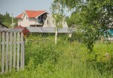 Слизни в ловушке: эксперт раскрыл, как пиво помогает спасти огород
