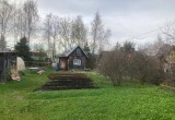 Три эффективных способа борьбы с муравьями в саду от агронома