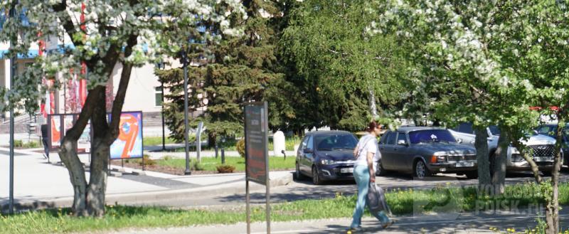 Фото Тимура Бойкова/Вологда-Поиск