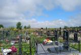 Вологда-поиск Вологда-поиск