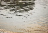 «Зуд купальщика»: как распознать и обезвредить водяного паразита