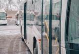 Фото Тимура Бойкова/Вологда-Поиск