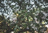 Людей с какой группой крови больше других кусают комары?