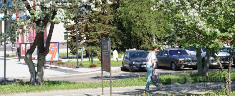Фото Тимура Бойкова/Вологда-Поиск