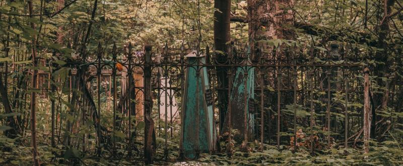 Тимур Бойков, Vologda-poisk.ru