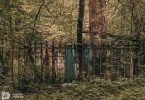 Тимур Бойков, Vologda-poisk.ru