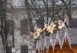 Фото Тимура Бойкова/Вологда-Поиск