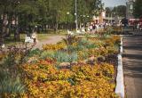 Тимур Бойков, Vologda-poisk.ru Тимур Бойков, Vologda-poisk.ru