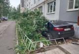 УМВД по Вологодской области УМВД по Вологодской области