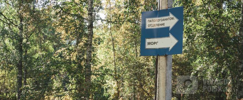 Фото Тимура Бойкова/Вологда-Поиск