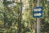Фото Тимура Бойкова/Вологда-Поиск