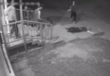 скриншот видео пресс-службы региональной полиции скриншот видео пресс-службы региональной полиции