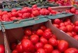 Косметолог назвала продукты, спасающие кожу от УФ-лучей