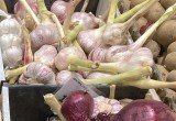 Как два зубчика чеснока в день влияют на здоровье и кому стоит отказаться от этого продукта?