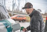 Тимур Бойков, Vologda-poisk.ru