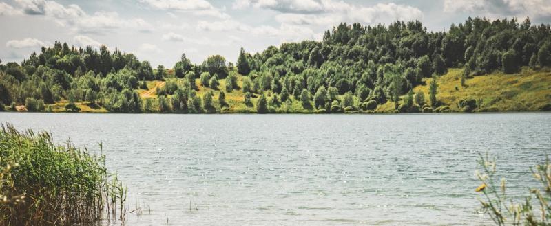 Тимур Бойков, Vologda-poisk.ru