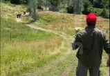 скриншот видео Mash
