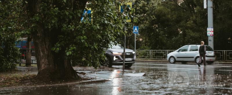 Фото Тимура Бойкова/Вологда-Поиск