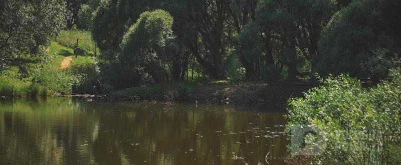 Фото Тимура Бойкова/Вологда-Поиск