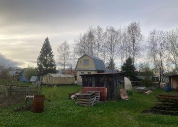 Глава союза дачников рассказал, как ухаживать за участком в прохладную погоду Глава союза дачников рассказал, как ухаживать за участком в прохладную погоду
