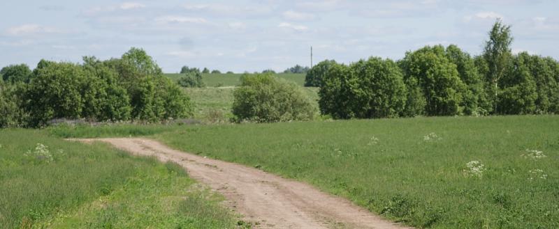 Тимур Бойков, Vologda-poisk.ru
