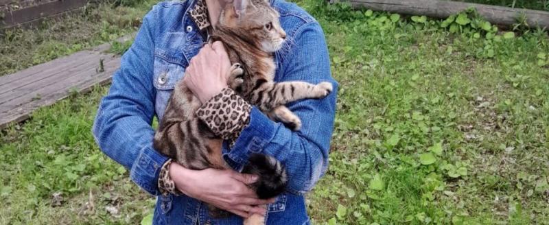 АСУНЦ