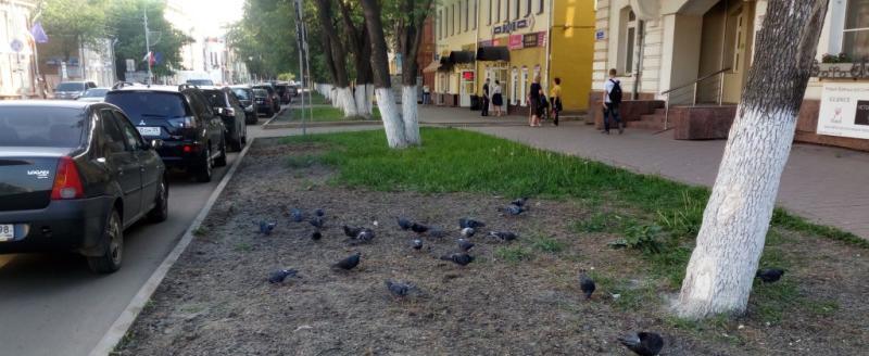 Фото Елены Литвиновой/