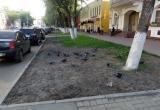 Фото Елены Литвиновой/"Вологда-Поиск"