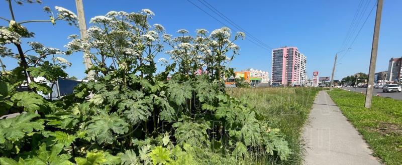 Фото Тимура Бойкова/Вологда-Поиск
