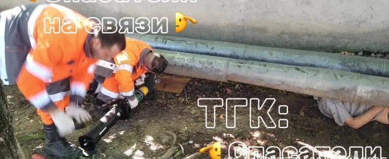 Фото телеграм-канала 