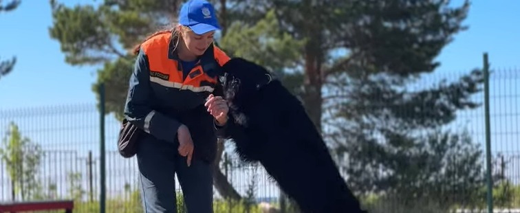 АСУНЦ