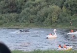 Принтскрин с видео Принтскрин с видео