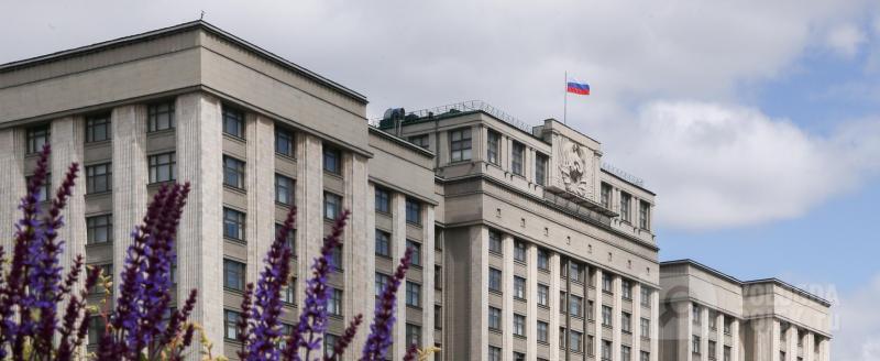 Вологда-поиск