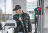 Тимур Бойков, Vologda-poisk.ru