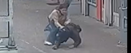 скриншот видео SHOT