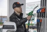 Тимур Бойков, Vologda-poisk.ru