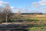 Фото Анны Язинской/"Вологда-Поиск"