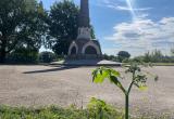 Фото Тимура Бойкова/Вологда-Поиск