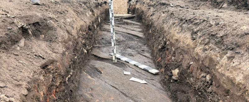 Фото АНО «Вологодский археологический центр»