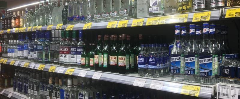 Вологда-поиск