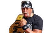 Фото: https://hulkhoganswrestlingshop.com