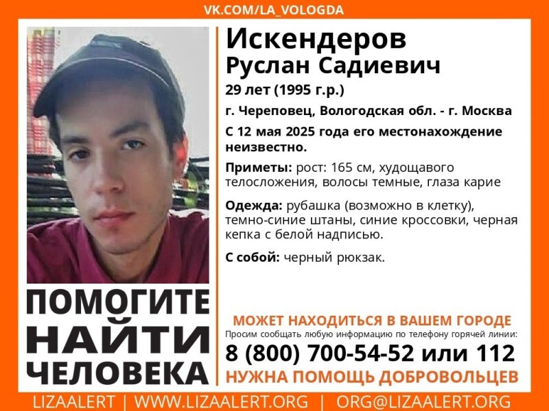 ЛизаАлерт поисковое объединение