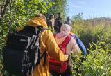 Фото ЛизаАлерт Вологодская область